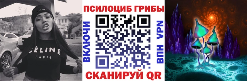 Галлюциногенные грибы Psilocybine cubensis  закладки  МЕГА ТОР  Барыш 